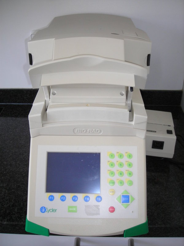 BioRad icycler iQ real time PCR System