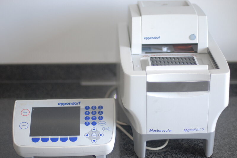 Eppendorf Mastercycler ep Gradient S PCR/Thermalcycler